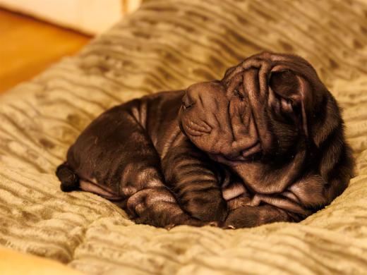 2025-03-07-19-11-21-EOS R6m2-6000-Verbessert-RR