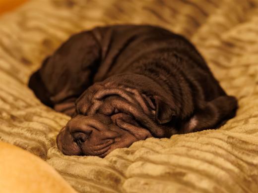 2025-03-07-19-13-11-EOS R6m2-6012-Verbessert-RR