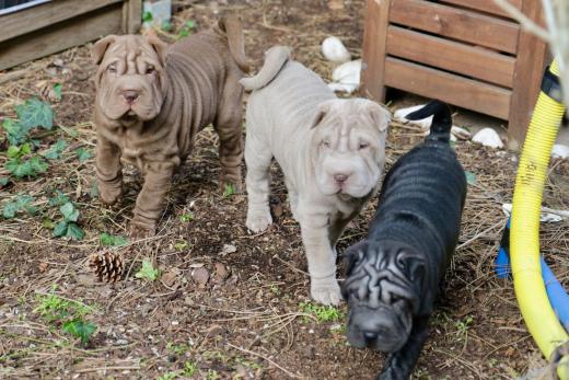 2025-03-09-16-48-54-259-82032978_2598624287009276_894532496221921124_n