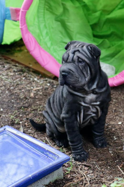 2025-03-09-16-50-34-338-82031894_2598624390342599_1899896859036686013_n