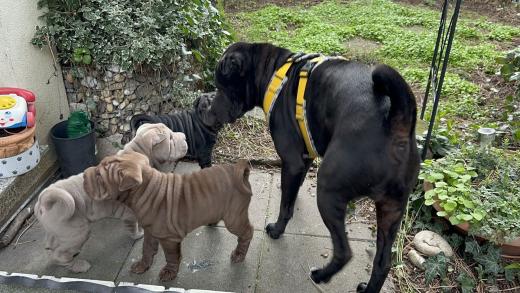 2025-03-09-16-51-24-373-81705672_2598662310338807_7762516972470398829_n