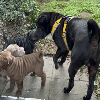 2025-03-09-16-52-33-859-80506837_2598662257005479_6923806110691820846_n