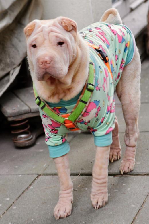 2025-03-09-16-53-13-883-80764029_2598623243676047_5979502134205126175_n