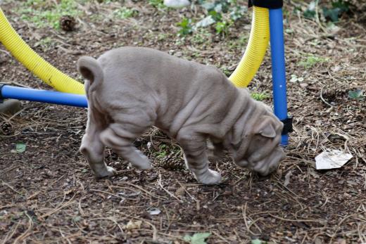 2025-03-09-16-54-07-388-80250239_2598623017009403_2765816972231472347_n