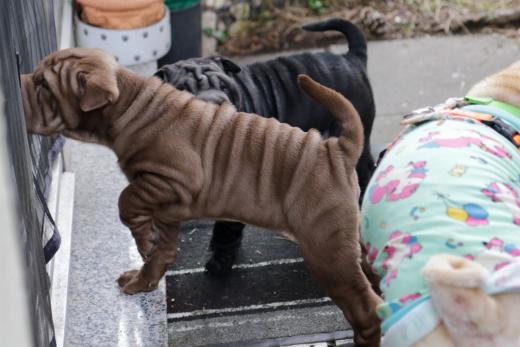 2025-03-09-16-54-24-288-82033681_2598624323675939_688657722311533360_n