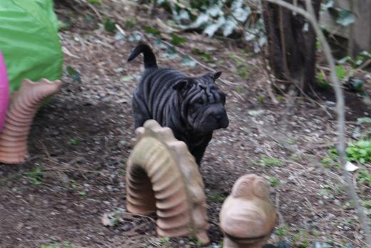 2025-03-09-17-07-15-887-82031646_2598623920342646_1430042140600572885_n