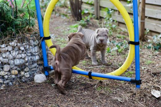 2025-03-09-17-08-43-683-80483819_2598624153675956_4372574311909225228_n