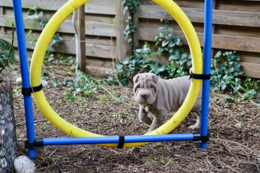 2025-03-09-17-09-09-437-81914660_2598624923675879_7868018424814160961_n