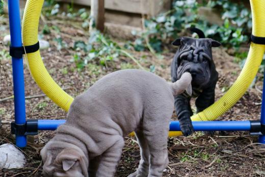 2025-03-09-17-09-59-295-81702544_2598624963675875_6673925765703303932_n