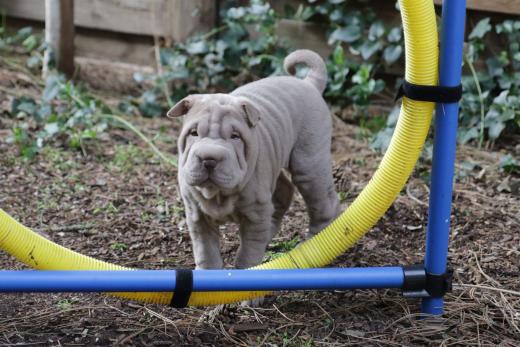 2025-03-09-17-10-51-527-80249276_2598624730342565_7336051857014616540_n