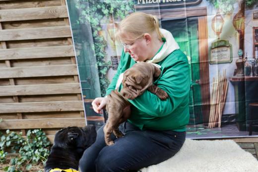 2025-03-09-17-12-02-550-80318059_2598623517009353_8468831141814509569_n