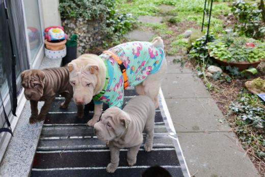 2025-03-09-17-12-59-795-81779581_2598625037009201_2559562456913242602_n