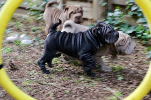 2025-03-09-17-13-26-482-80260799_2598623823675989_8660094578989379297_n