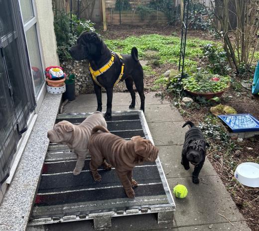 2025-03-09-17-14-20-790-81945385_2598666473671724_1971674927015839292_n