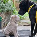 2025-03-09-17-15-00-366-81250354_2598624200342618_1458749746406067020_n