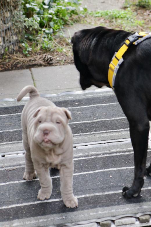 2025-03-09-17-15-19-950-80660391_2598624417009263_5662305761353038544_n