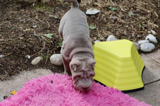 2025-03-09-17-16-15-247-81663901_2598623083676063_309407708452477367_n