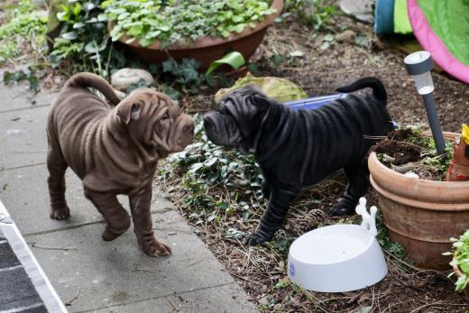 2025-03-09-17-17-39-421-82223744_2598624900342548_1106567344002139134_n