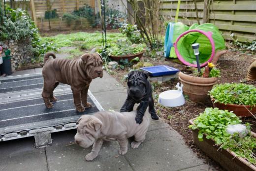 2025-03-09-17-18-30-258-80961368_2598624230342615_7624508969876239730_n