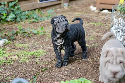 2025-03-09-17-18-47-848-80220649_2598625070342531_1531369137375698378_n