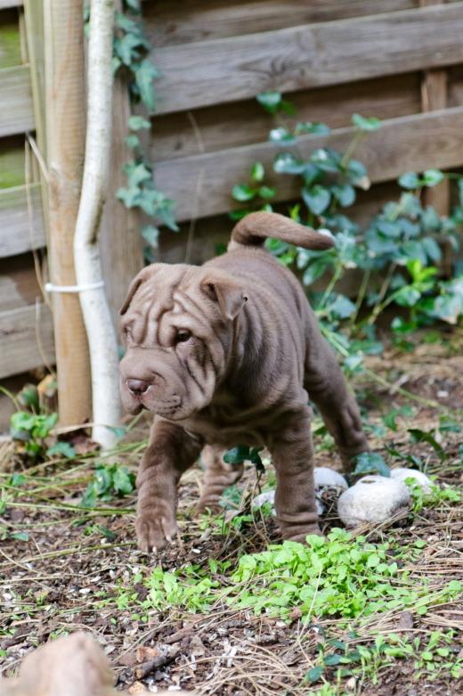 2025-03-09-17-19-08-987-80827776_2598624507009254_5819839763116710492_n