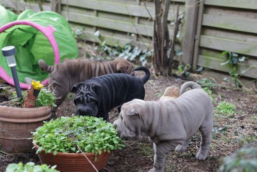 2025-03-09-17-20-12-211-80753807_2598624843675887_6308197611207234252_n