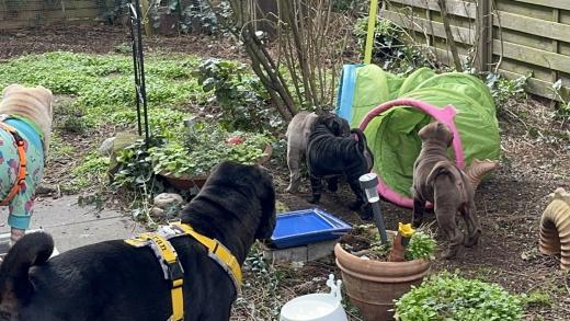 2025-03-09-17-21-34-258-80965236_2598662480338790_7487245211970150445_n