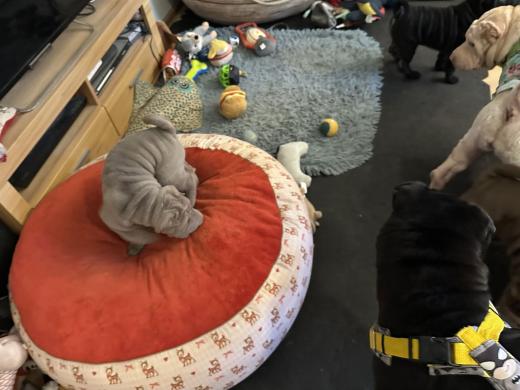 2025-03-09-17-22-32-622-80830713_2598662627005442_8934055545035161190_n