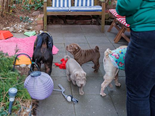 2025-03-04-09-47-58-EOS R6m2-1823