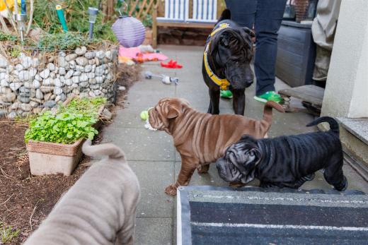 2025-03-04-09-48-36-EOS R6m2-1836