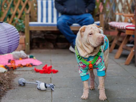 2025-03-04-09-50-40-EOS R6m2-1843