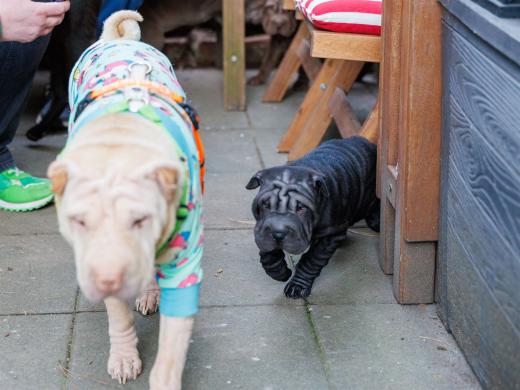 2025-03-04-09-53-31-EOS R6m2-1846