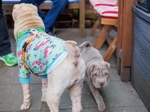 2025-03-04-09-53-44-EOS R6m2-1848