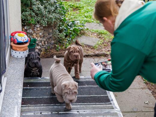 2025-03-04-09-54-31-EOS R6m2-1851