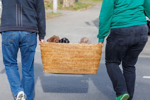 2025-03-04-10-40-53-EOS R6m2-1880