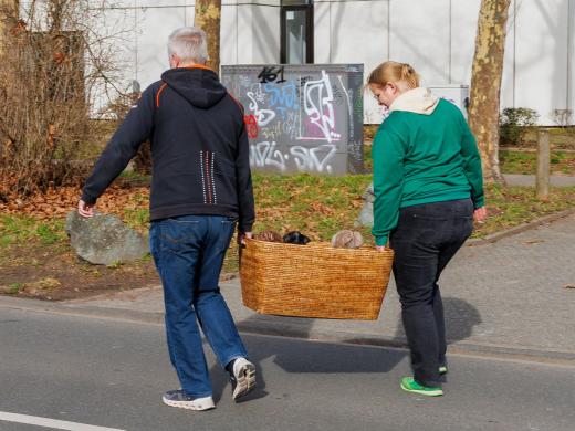 2025-03-04-10-40-56-EOS R6m2-1882