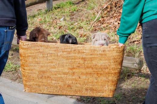 2025-03-04-10-41-00-EOS R6m2-1884