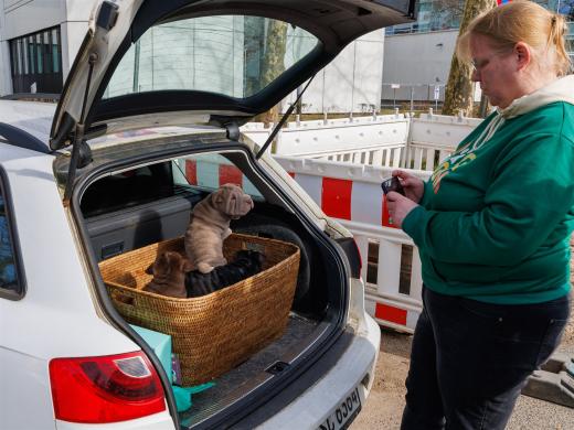 2025-03-04-10-41-39-EOS R6m2-1890