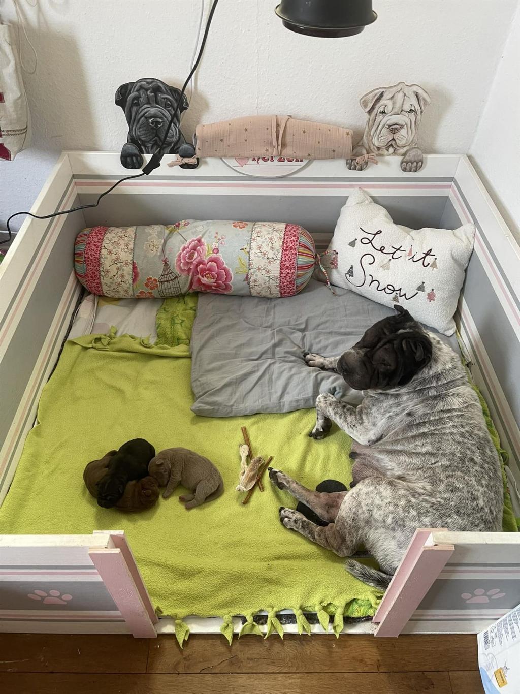 471776797_3838128123101314_5687052249397136149_n