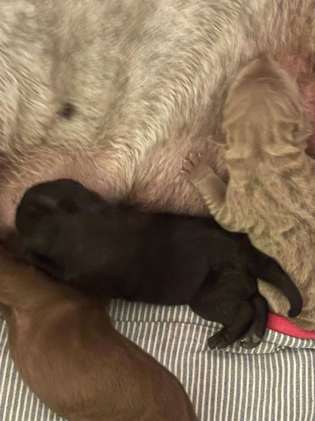 471949794_3836931179887675_4452237775354356656_n