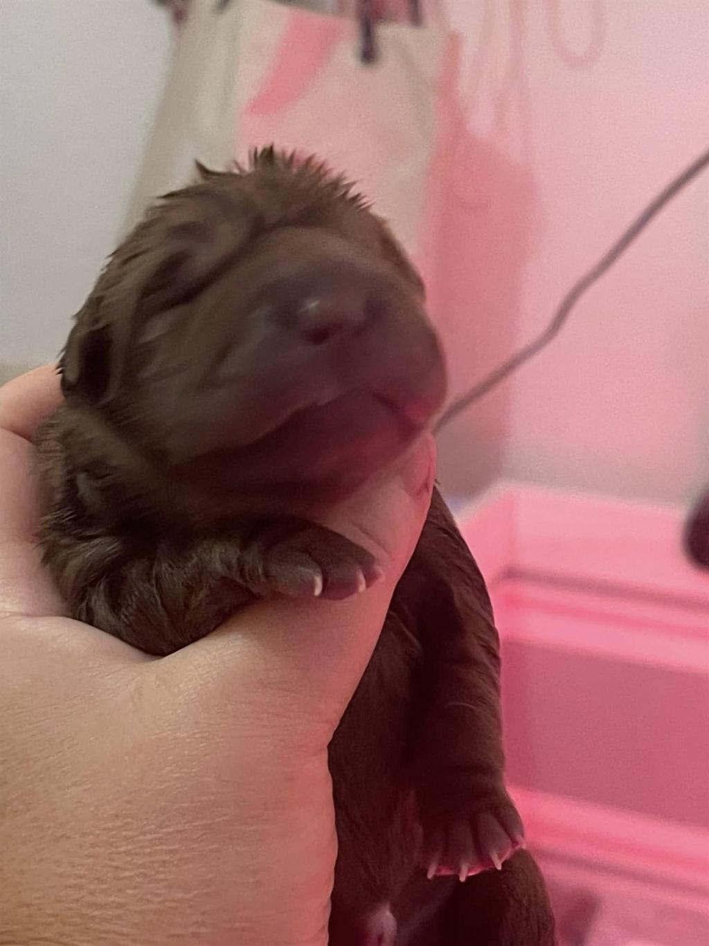 471989648_3836913143222812_2340144412779938480_n