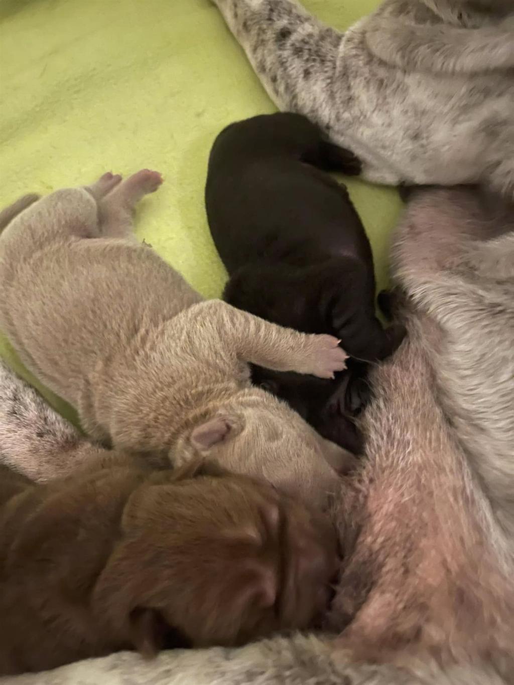 472089095_3838410889739704_1768235416921730590_n