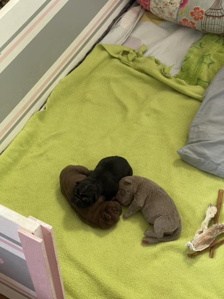 472140473_3838124623101664_467090240383956016_n