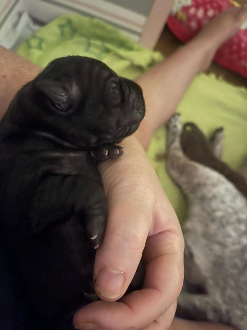 472186082_3838410926406367_3850762936831663196_n