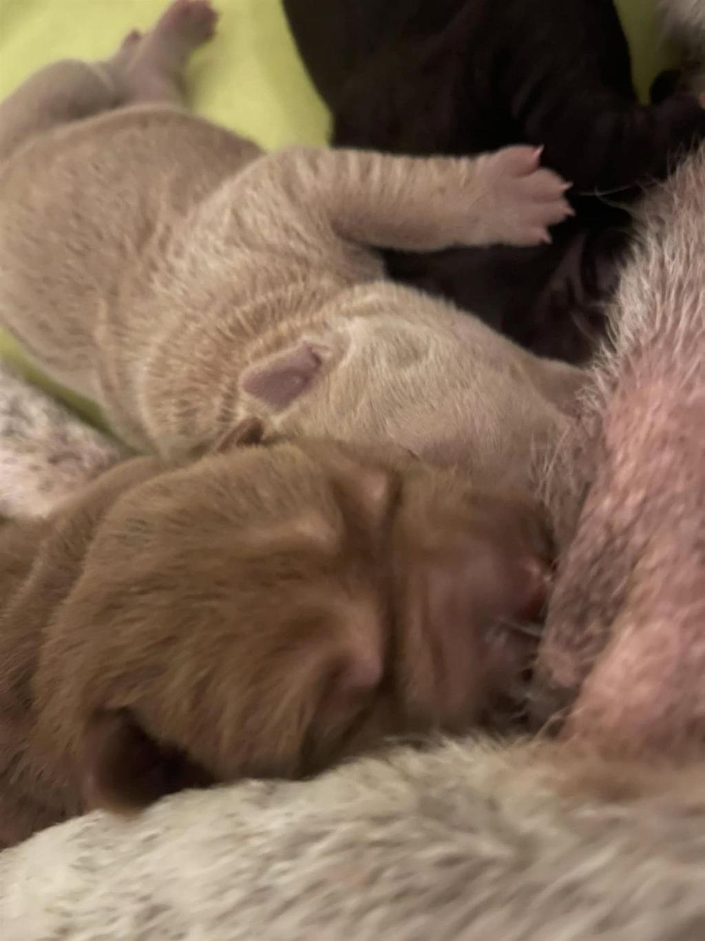 472197862_3838410909739702_8956598420476821_n