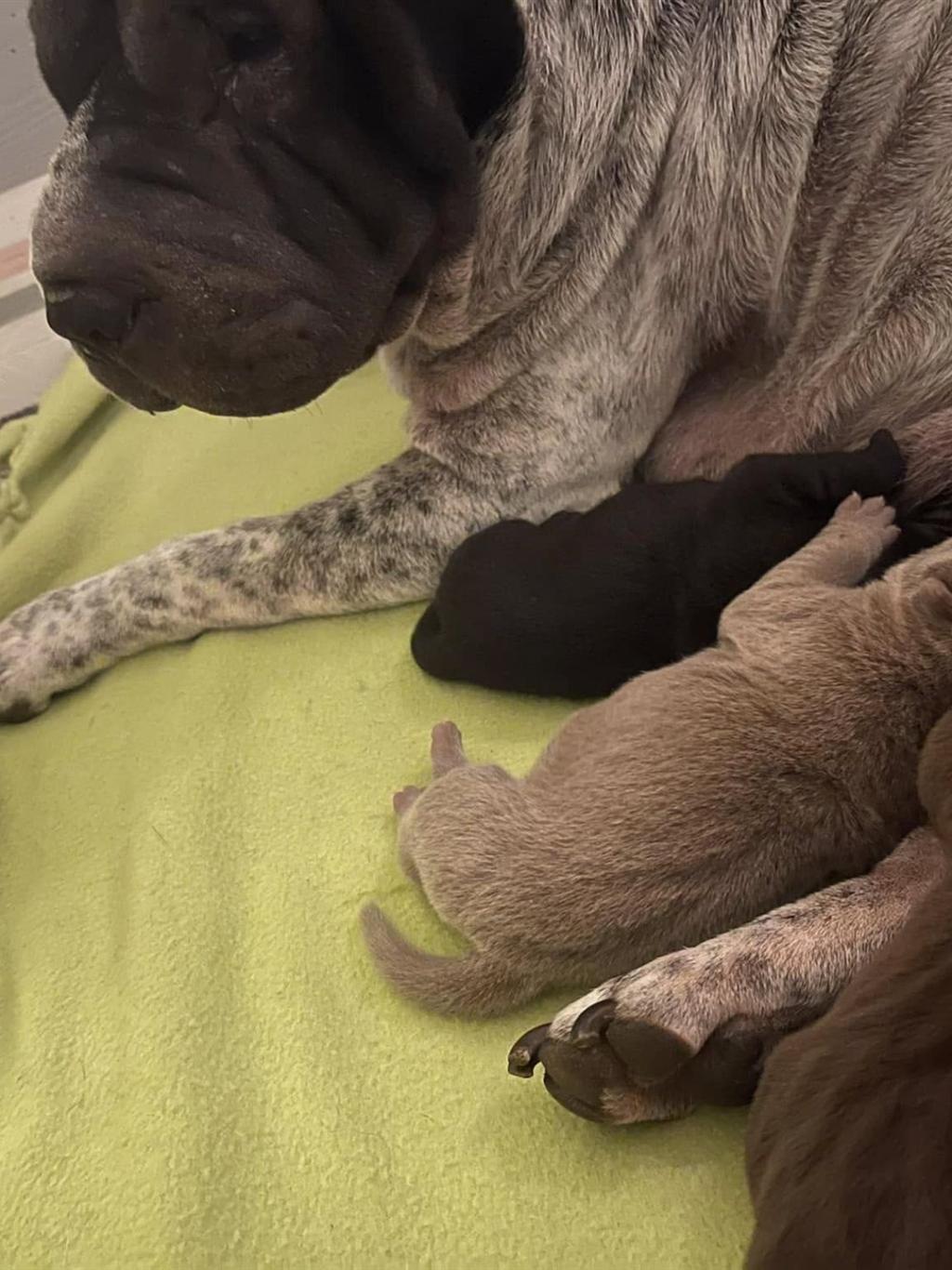 472232454_3838410879739705_5203108848808149898_n