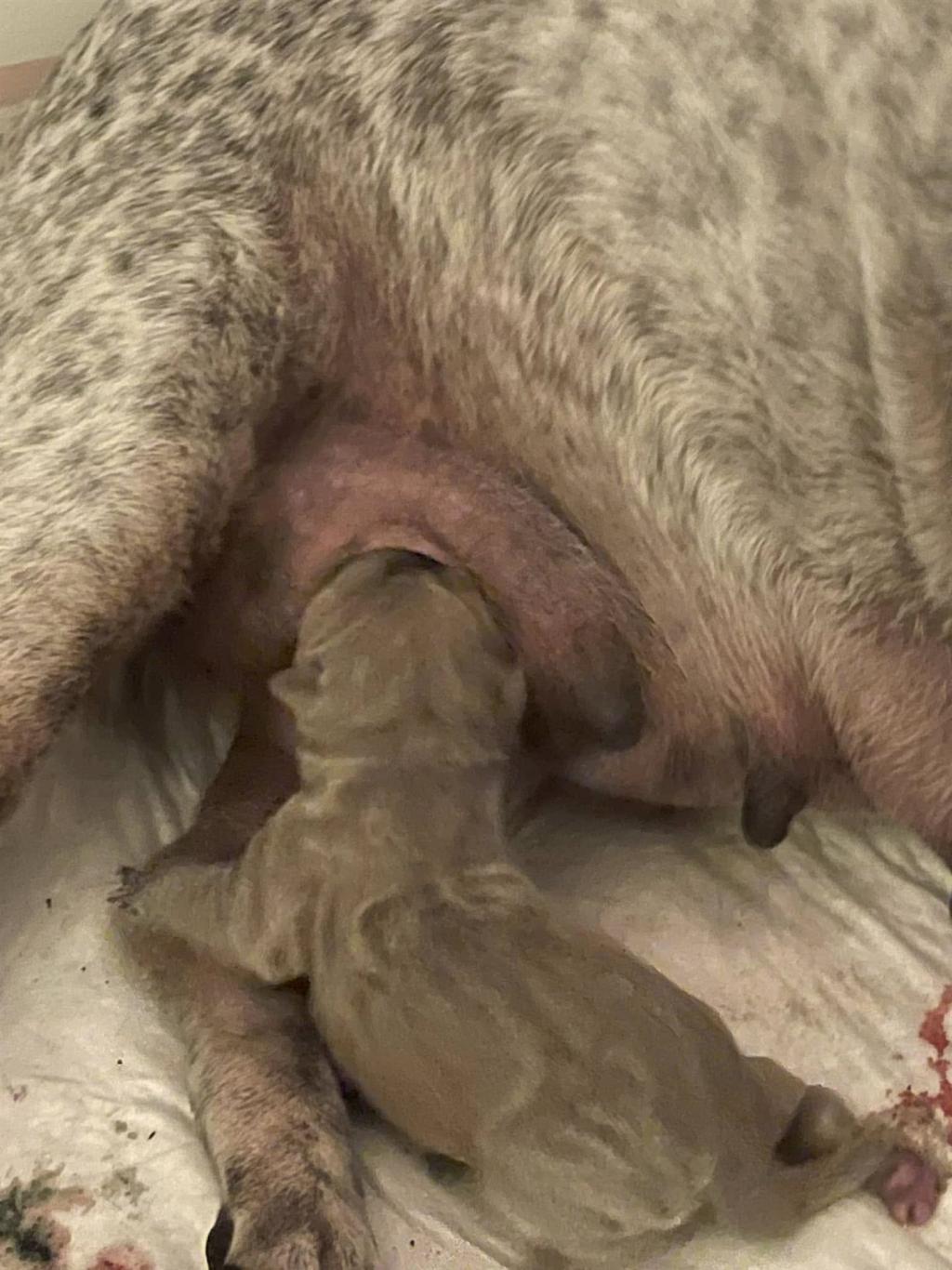 472236258_3836913136556146_2048751611030541339_n