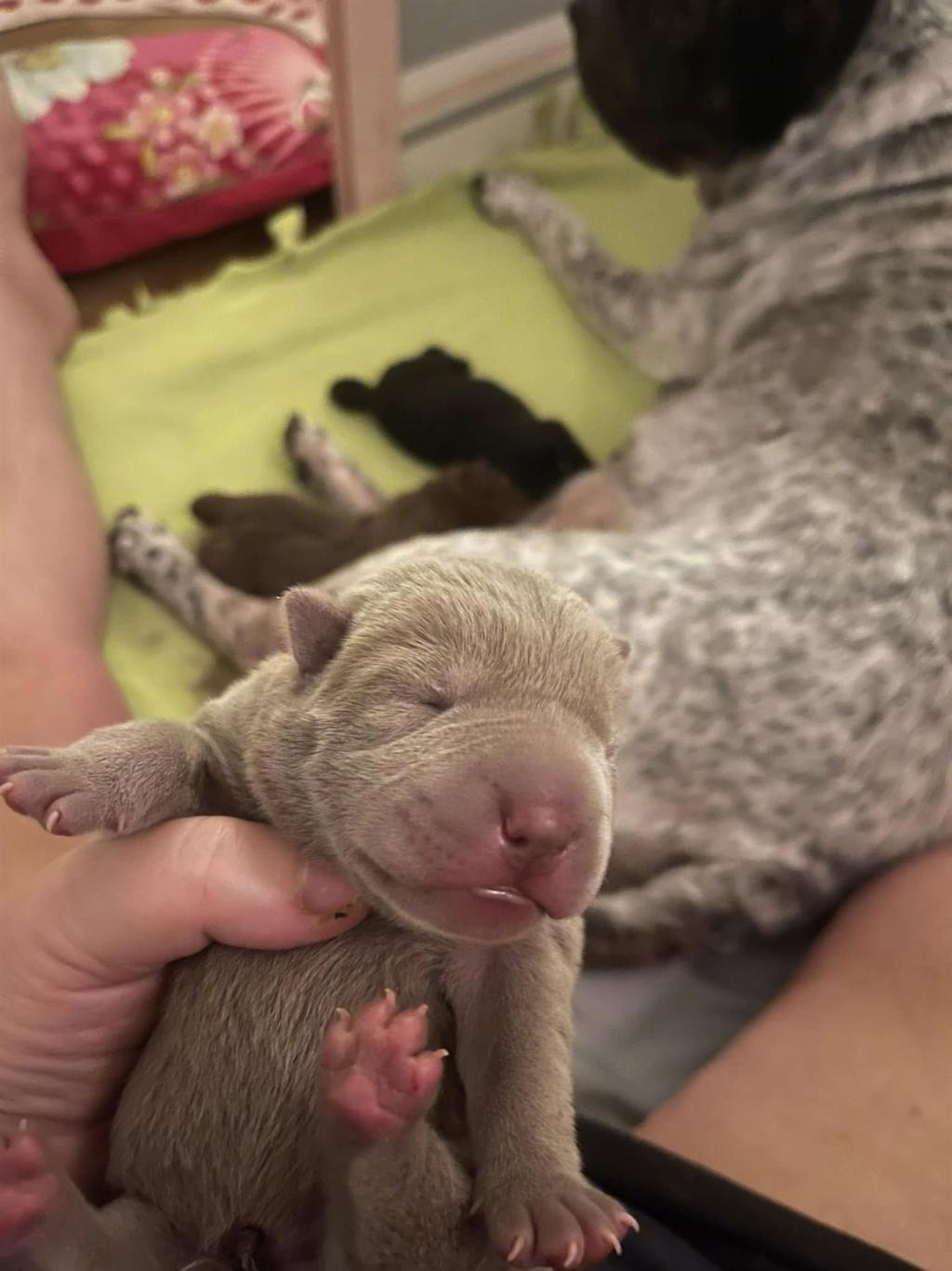 472337795_3838410829739710_3858799954006399236_n