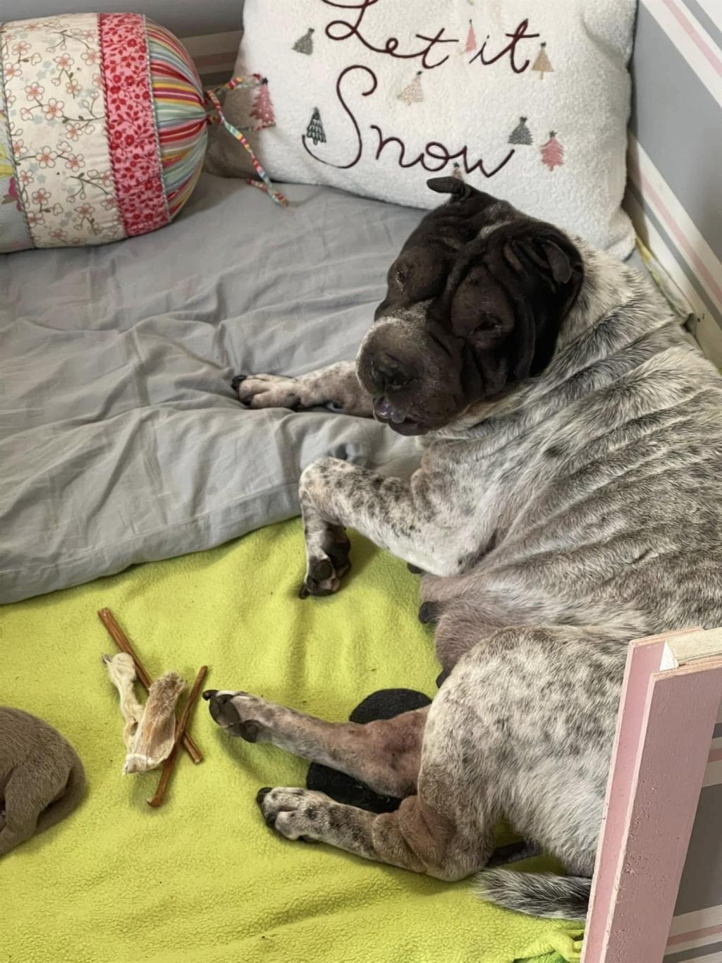 472361530_3838125786434881_642873325960128529_n