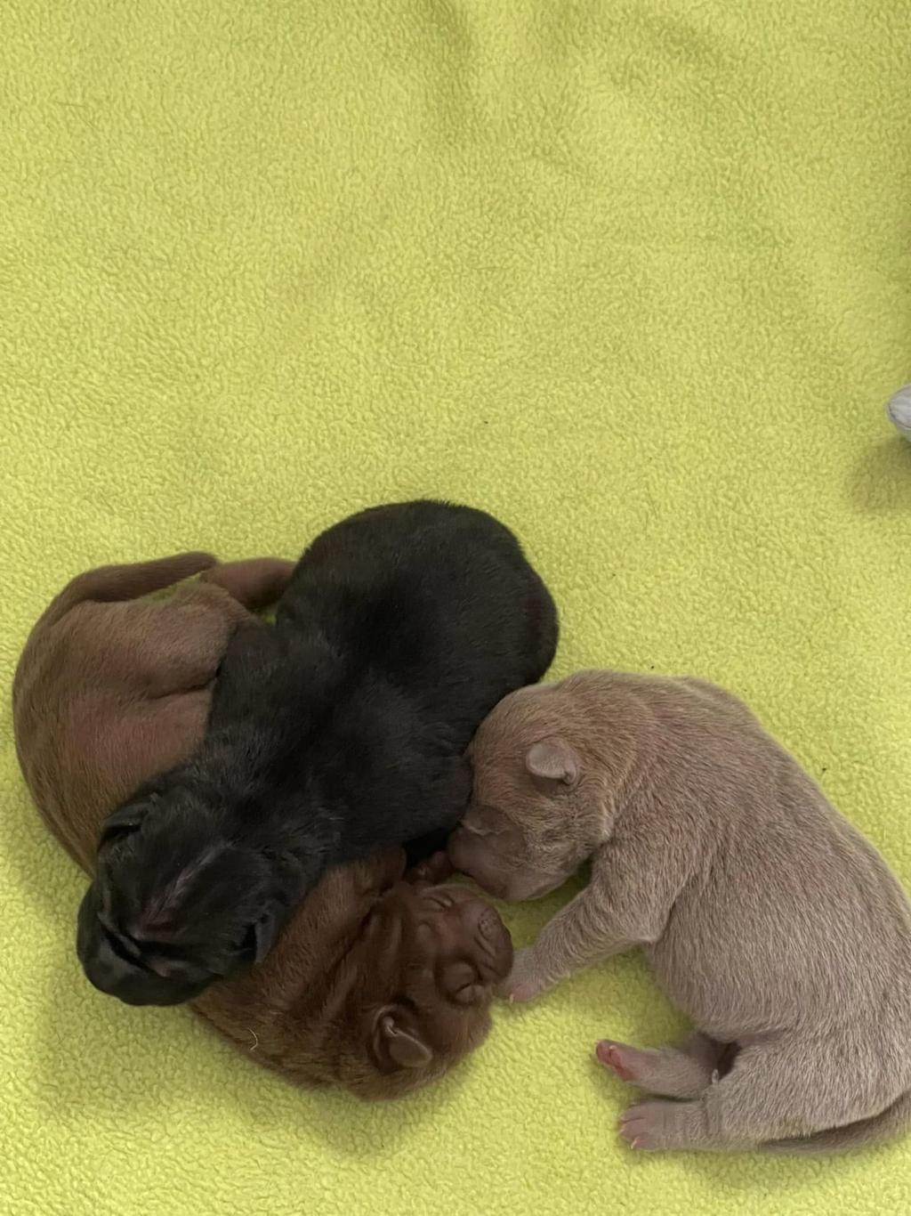 472495301_3838125746434885_9054549725303453152_n